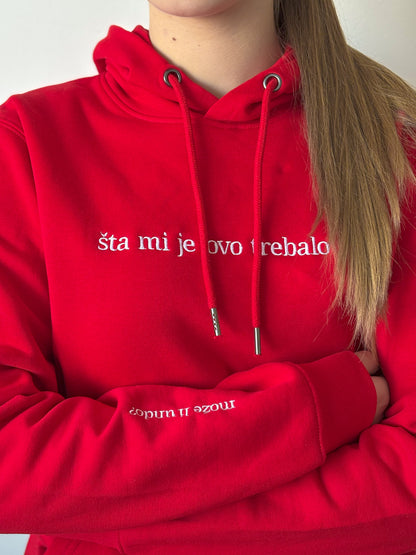 Šta mi je ovo trebalo?